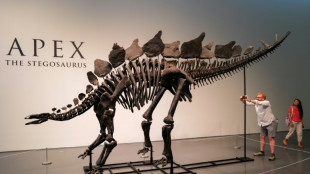 Millonario estadounidense Ken Griffin compró el esqueleto de dinosaurio más caro del mundo 