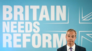 El ultraderechista británico Farage ensalza el "impulso" de su partido Reform UK de cara a las legislativas