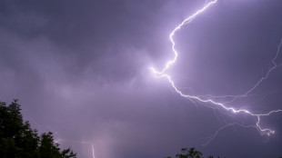 Großer Schreck in Baden-Württemberg: Blitz schlägt in Hütte mit Kindern ein 