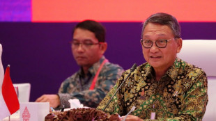 G20-Minister sagen bei Treffen auf Bali Tempo bei Energiewende zu