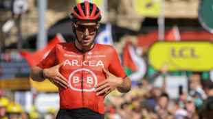 Pogacar takes Tour de France lead as French rookie steals stage