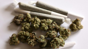 Studie: Fast die Hälfte der jungen Erwachsenen hat Cannabis ausprobiert