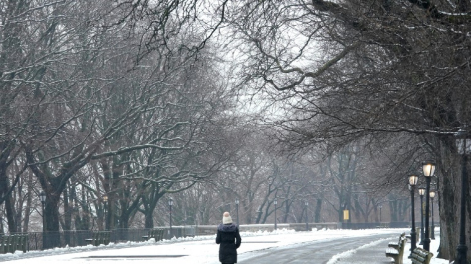 Nueva York registra su mayor nevada en un invierno inusualmente templado