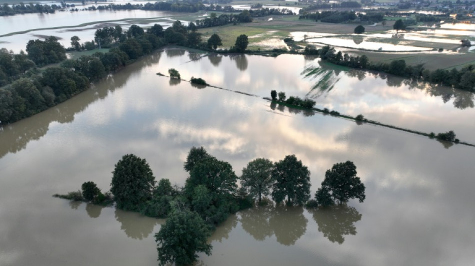 Plus de 18.000 bâtiments et installations endommagés par des inondations en Pologne