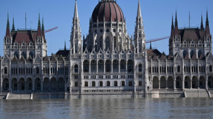 Hochwasser: Donau in Budapest erreicht höchsten Stand seit zehn Jahren