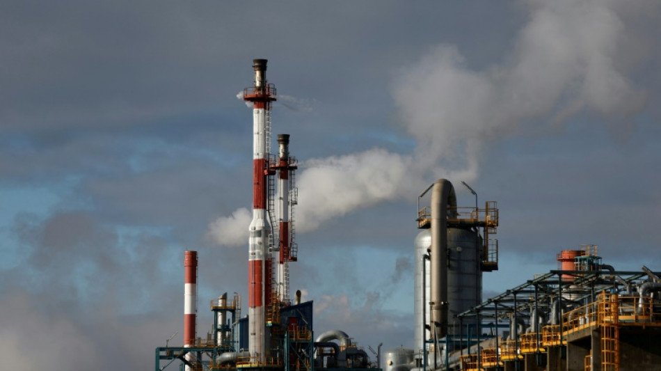 Ifo-Umfrage: Chemieindustrie leidet besonders stark unter Gaspreisanstieg