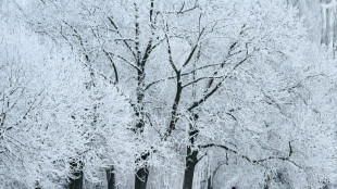 Winterwetter mit Schnee und Eis sorgt für Flugausfälle und Verkehrsunfälle