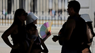 Más de 44 ºC en España en la primera ola de calor del verano