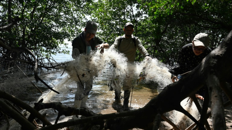 Lixo cobre santuário das aves marítimas nas ilhas do Golfo de Fonseca