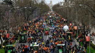 Con tractores y perros de caza, 150.000 productores del campo protestan en Madrid
