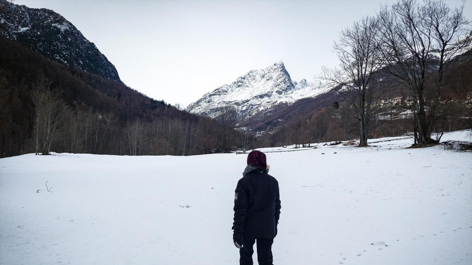 Gli ecosistemi delle Alpi a rischio per la riduzione della neve