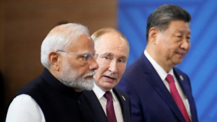 Brics-Gipfel in Russland: Putin begrüßt entstehende "multipolare Weltordnung"