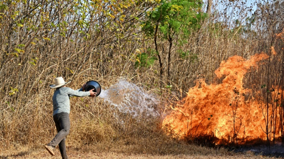 Vague d'incendies au Brésil: les flammes touchent désormais le parc national de Brasilia