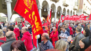 Tutti in piazza per Mirafiori, migliaia al corteo a Torino