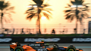 Norris fastest as Leclerc hit with 10-place grid penalty in Abu Dhabi