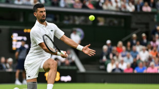Djokovic shrugs off injury fears to reach Wimbledon second round