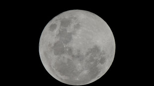 Luna, un misterioso rover sulla missione cinese Chang'e 6