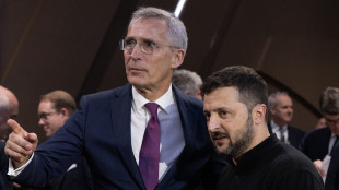 Stoltenberg, sull'Ucraina forte messaggio Nato a Mosca