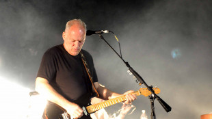 David Gilmour al Circo Massimo tra settembre e ottobre