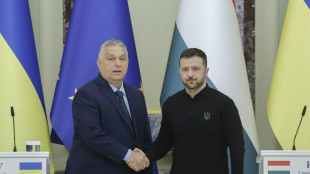 Zelensky, ho chiesto a Orban di unirsi ai nostri sforzi di pace