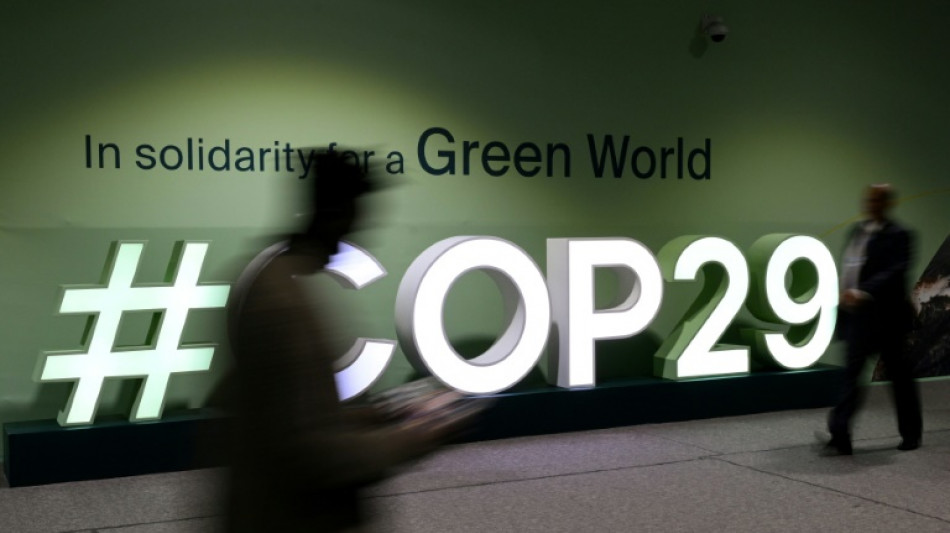 Más de 300 ONG instan a países en desarrollo a abandonar la COP29 tras propuesta "inaceptable"