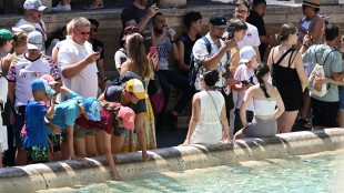 Assessore Roma, per Fontana di Trevi pensiamo a ticket 2 euro