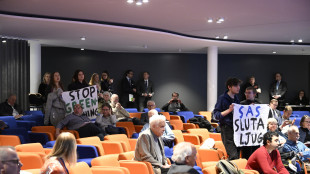 Thunberg all'assemblea azionisti Sas, 'Basta greenwashing'