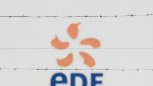 Francia reflota el gigante energético EDF con casi 2.700 millones de euros