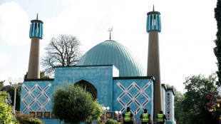 Zentralrat der Muslime ruft zum Erhalt der Blauen Moschee auf