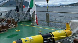 Dans l'Arctique, l'Otan dissèque les ondes acoustiques pour mieux traquer les sous-marins