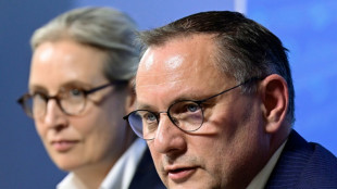 Coalizão do chefe de Governo alemão em apuros após resultados das eleições europeias