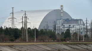 IAEA says loses contact with Chernobyl nuclear data systems