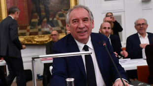 Entre la crise à Mayotte et le conseil municipal à Pau, Bayrou consulte et compose son gouvernement