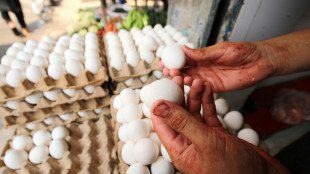 L'Ue reintroduce i dazi su uova e zucchero importati da Kiev
