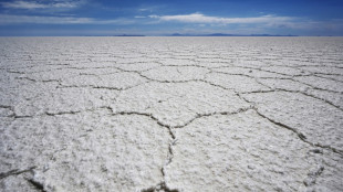 Bolivia announces $1 bn deal with China to build lithium plants