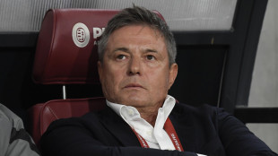 Calcio: Dragan Stojkovic alla guida della Serbia fino al 2026