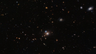 Realizzata la più grande mappa 3D dei quasar, sono 1,3 milioni