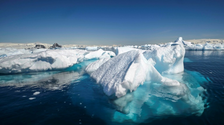 Vendée Globe: à quoi sert la zone d'exclusion antarctique ?