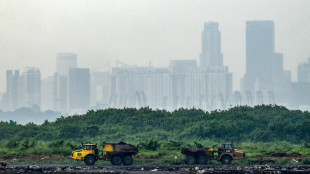 Carrera contrarreloj en Singapur para salvar "el basurero del Edén"