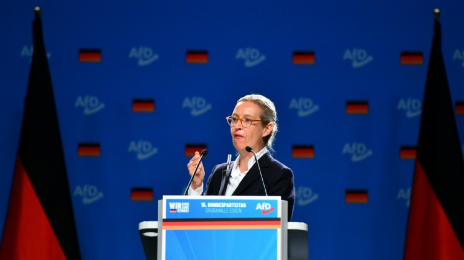 Clashes, arrests mark start of  German far-right AfD congress
