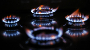 Ue, 'al 31 marzo stoccaggi gas piani al 58%, è un record'