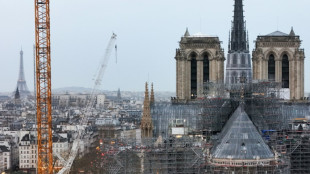 El viernes se podrá ver el interior restaurado de Notre-Dame de París en televisión