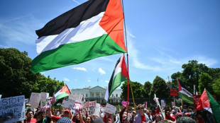 Des milliers de manifestants pro-palestiniens à Washington contre Biden