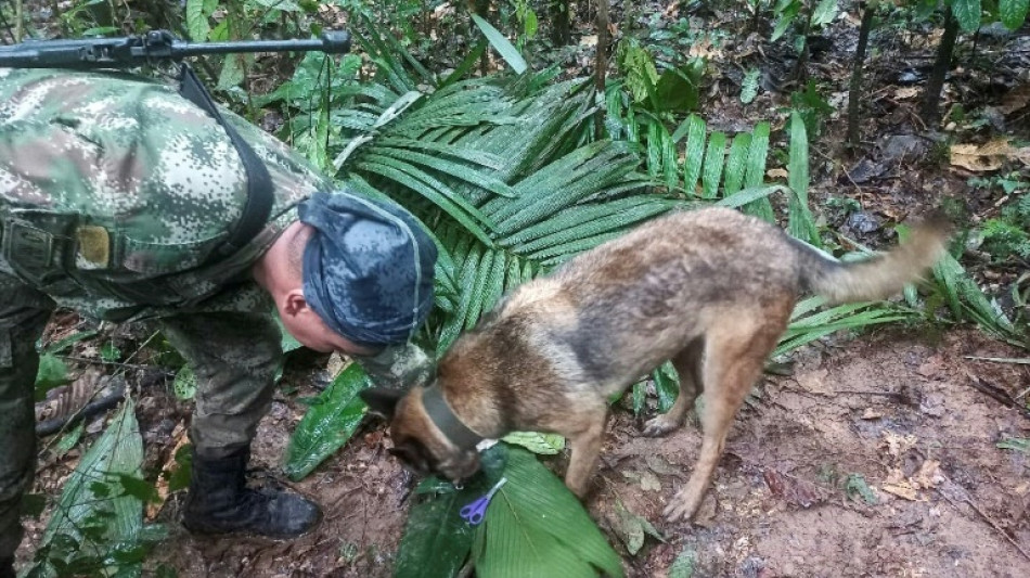 Petro se retrata pelo anúncio do resgate de crianças indígenas na floresta colombiana