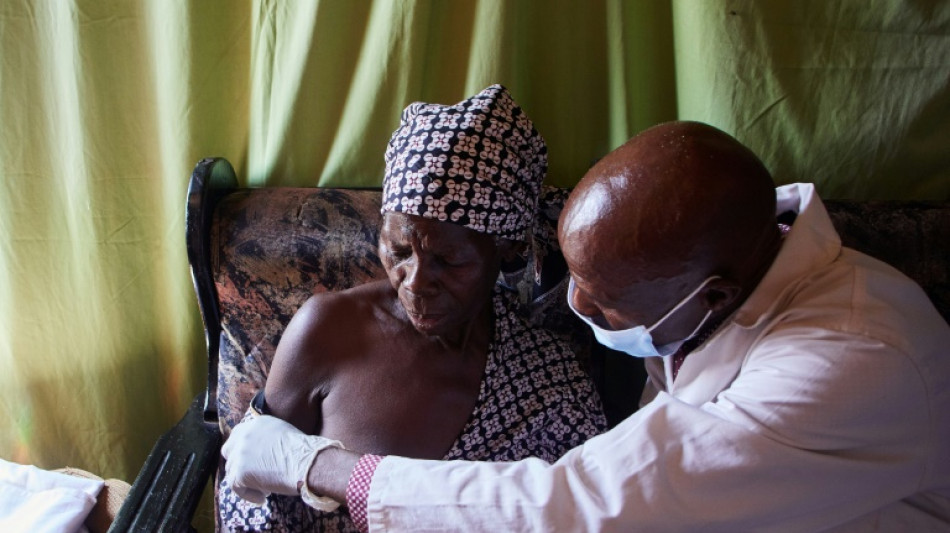 Au Zimbabwe, les herboristes poussent sur les ruines du système de santé