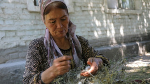 Uzbekistan tries to put fresh spin on its silk industry