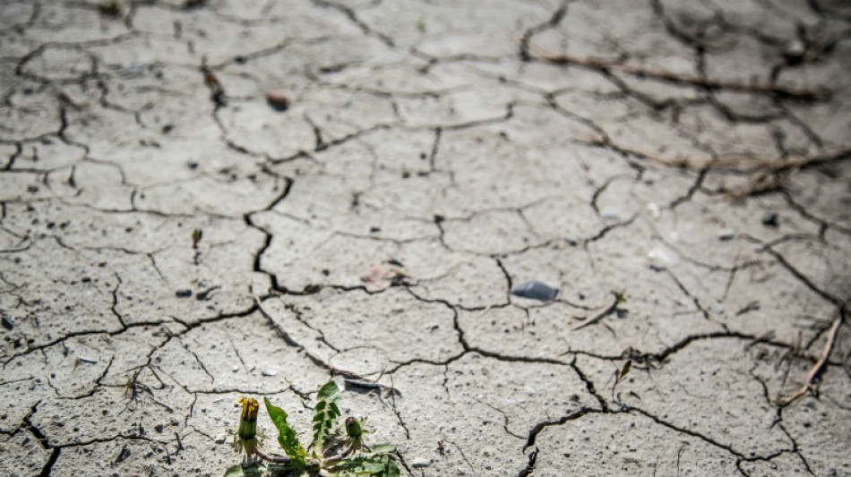 Sequía inédita en Dinamarca desde 2006, tras dos semanas sin lluvia