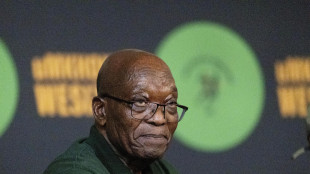 Congelati conti bancari all'ex presidente sudafricano Zuma