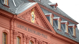 Neue Hausordnung im Landtag Rheinland-Pfalz soll Demokratiefeinde aussperren