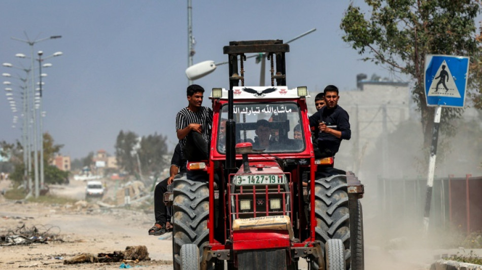 El sector agrícola de Gaza, arrasado por la guerra